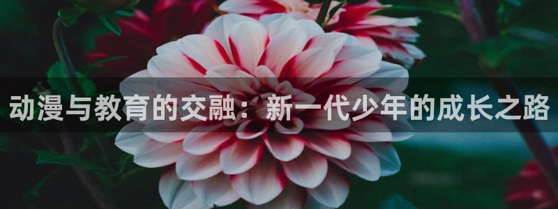 动漫岛88dmw怎么没了