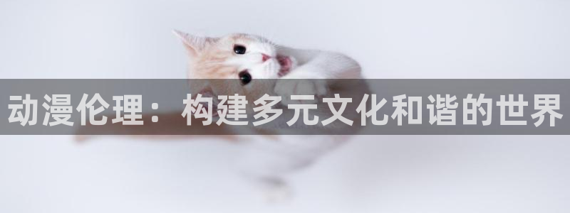 动漫岛网站入口