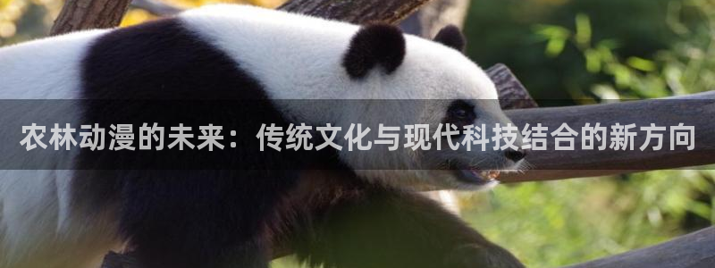 动漫岛盾之勇者成名录