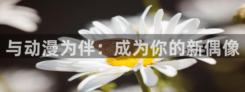 动漫岛最新最好看的动漫岛屿